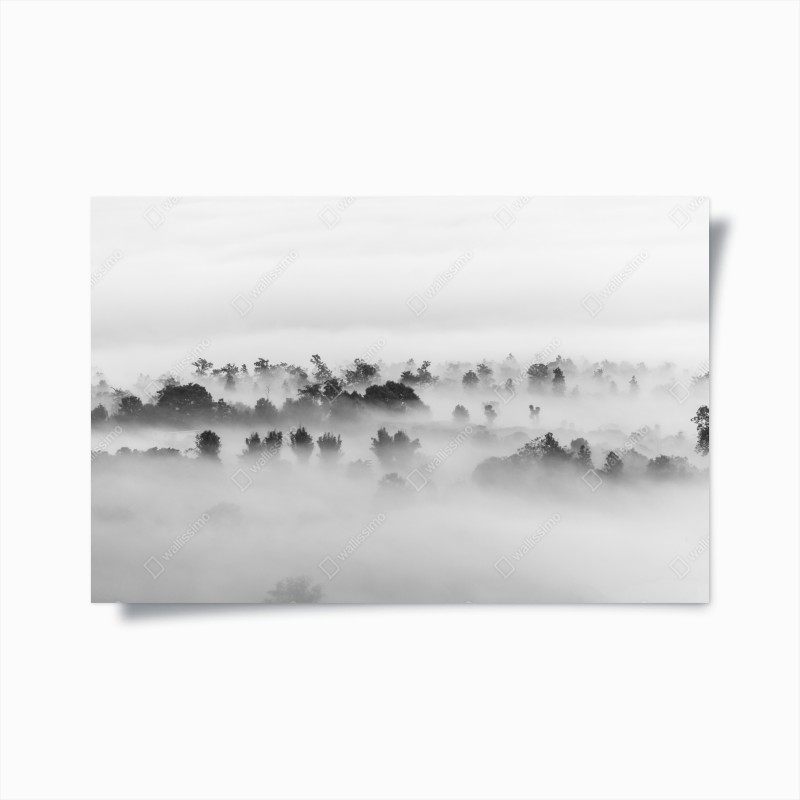 Wälder – Wallnifity®