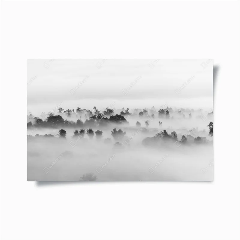 Minimalistisch – Wallnifity®