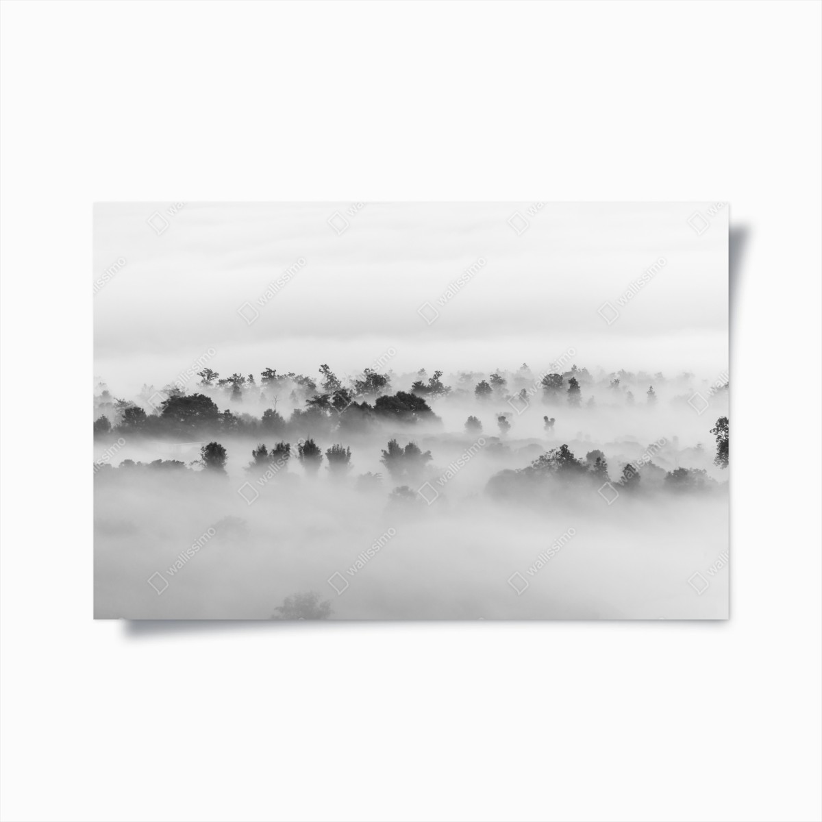 Poster nebliger wald in monochrom – Wallnifity® Poster nebliger wald in monochrom – Wallnifity®