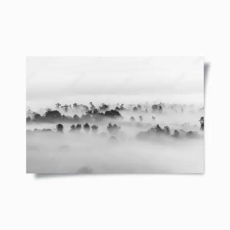 Poster nebliger wald in monochrom – Wallnifity®