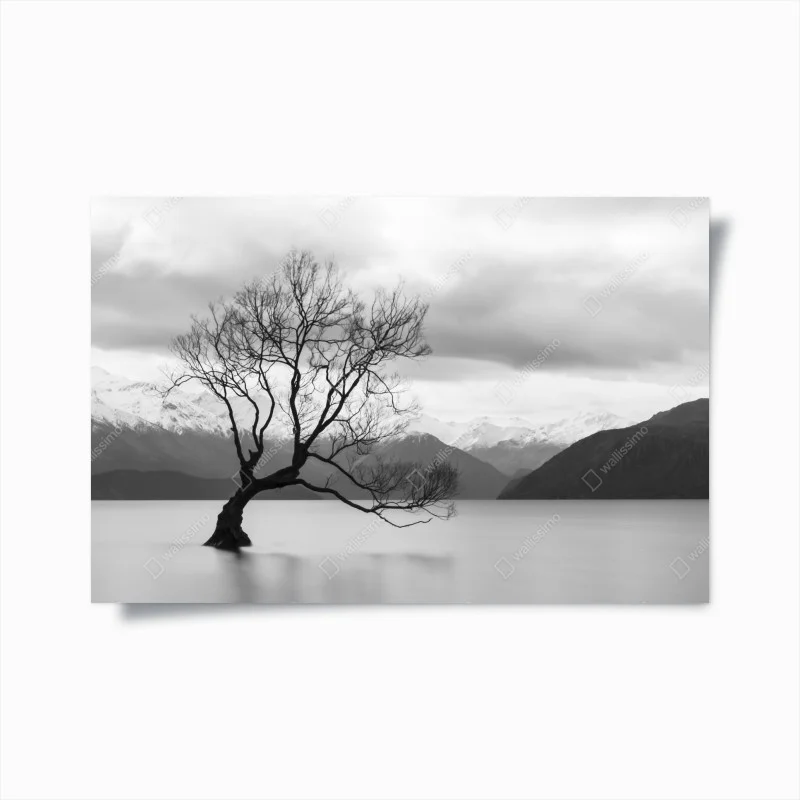 Flüsse & Seen – Wallnifity®