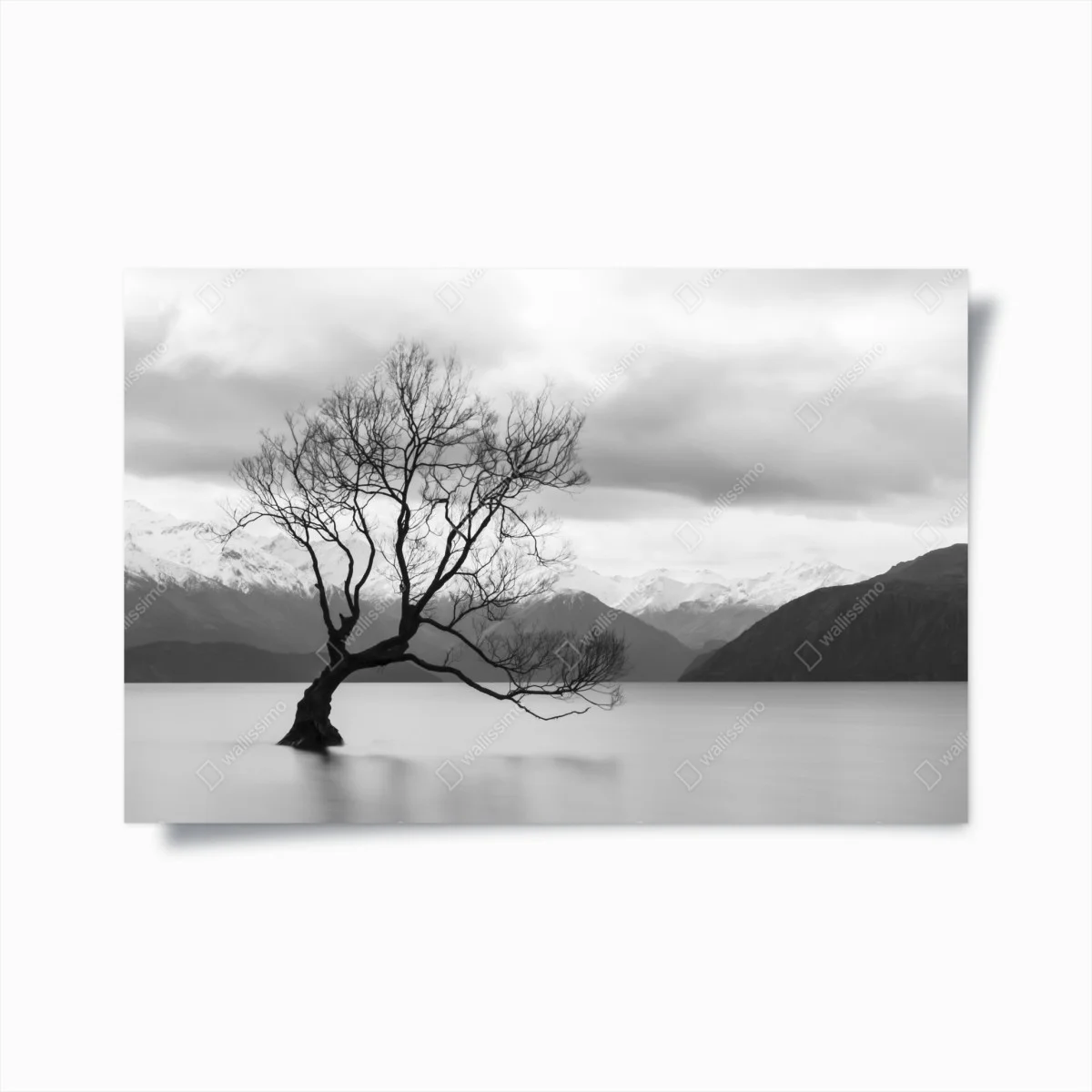 Poster einsamer baum im see in schwarzweiß – Wallnifity® Poster einsamer baum im see in schwarzweiß – Wallnifity®