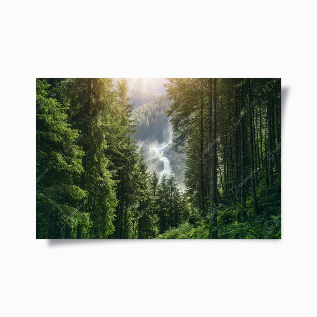 Poster Krimml wasserfall im üppigen alpinen wald – Wallnifity®