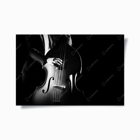 Poster kontrabassist im dramatischen licht – Wallnifity®