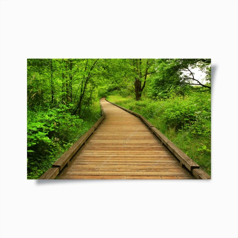 Poster ruhiger holzsteg im wald