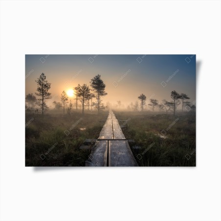Poster nebliger sonnenaufgang über dem holzsteg – Wallnifity®