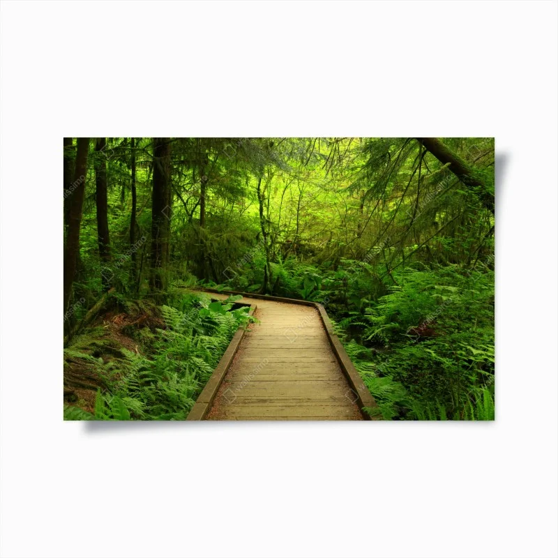 Poster ruhiger grüner waldsteg