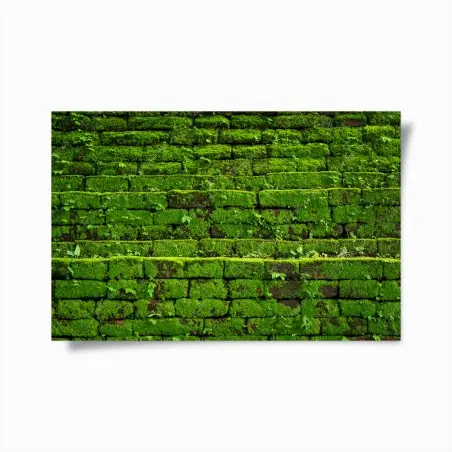 Poster üppige moosbedeckte ziegelwand – Wallnifity®