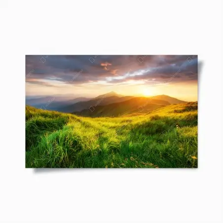 Poster sonnige bergwiese bei sonnenaufgang – Wallnifity®