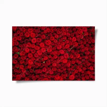 Poster endlose wand aus roten rosen – Wallnifity®