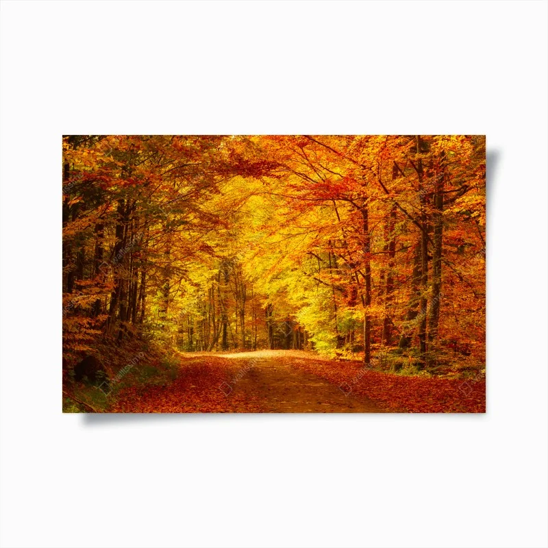 Natur – Wallnifity®