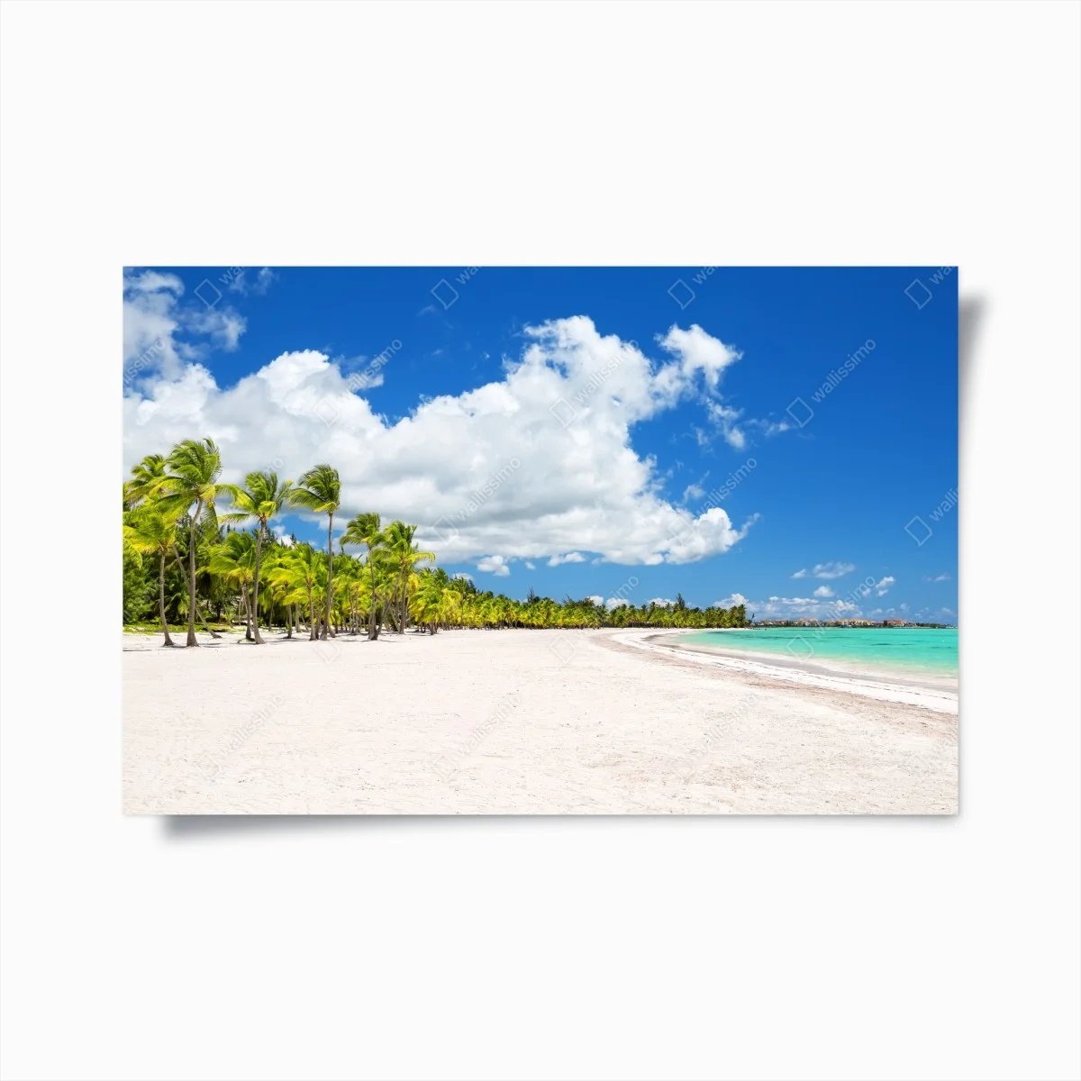 Poster tropischer strand in Punta Cana – Wallnifity® Poster tropischer strand in Punta Cana – Wallnifity®