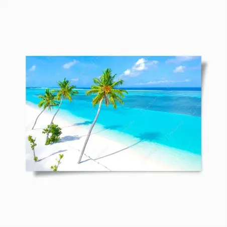 Poster tropischer türkisfarbener strand mit palmen – Wallnifity®