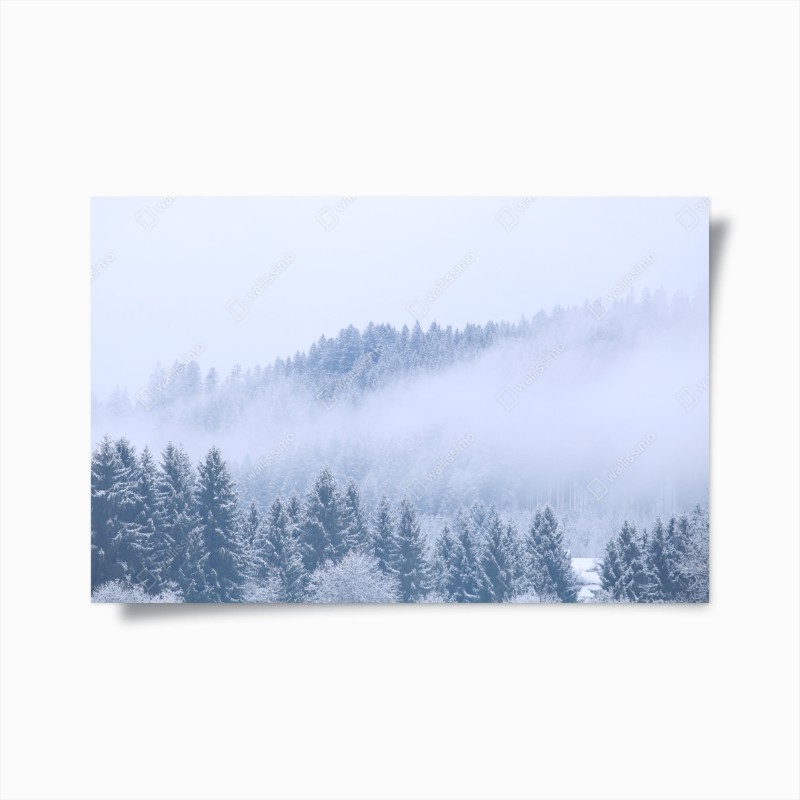 Wälder – Wallnifity®