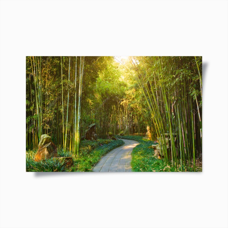 Wälder – Wallnifity®