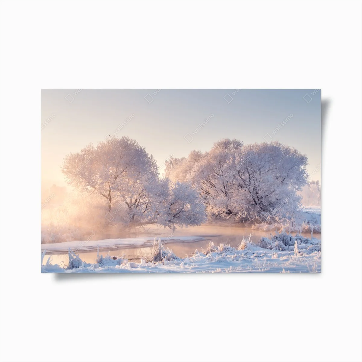 Poster raureifbedeckte bäume bei sonnenaufgang – Wallnifity® Poster raureifbedeckte bäume bei sonnenaufgang – Wallnifity®
