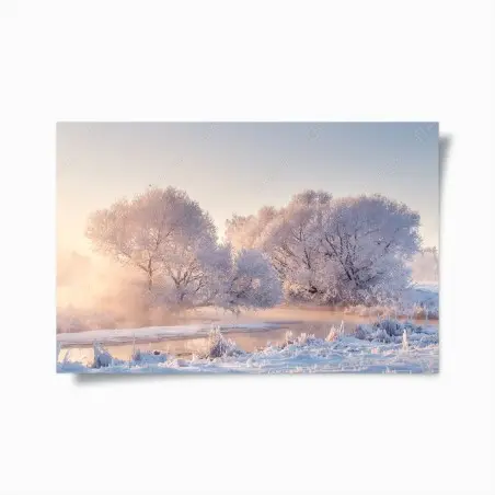 Poster raureifbedeckte bäume bei sonnenaufgang – Wallnifity®