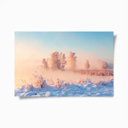 Poster winterlicher sonnenaufgang über einer frostigen wiese – Wallnifity®