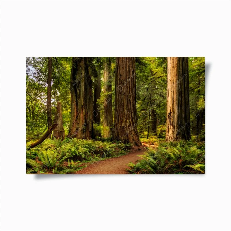 Natur – Wallnifity®