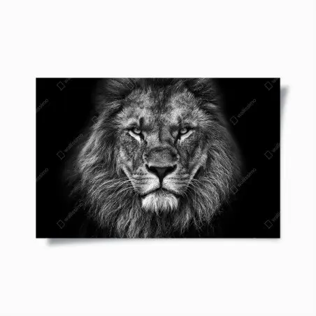 Poster majestätisches löwenportrait in monochrom – Wallnifity®