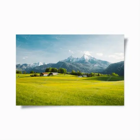 Poster alpwiese unter schneebedeckten gipfeln – Wallnifity®