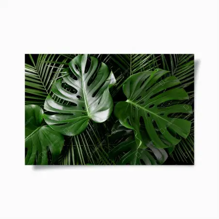 Poster üppige monstera-blätter – Wallnifity®