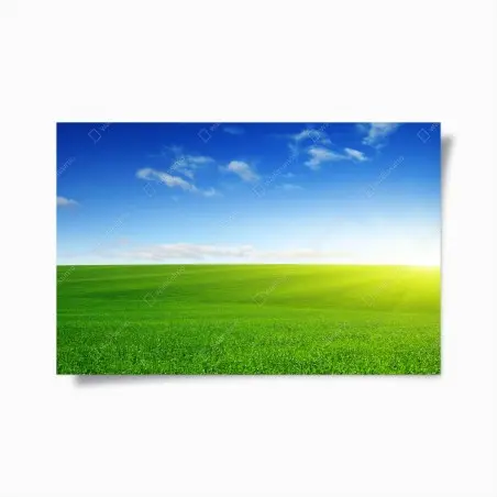 Poster sonnenbeschienene grüne wiese im morgenlicht – Wallnifity®