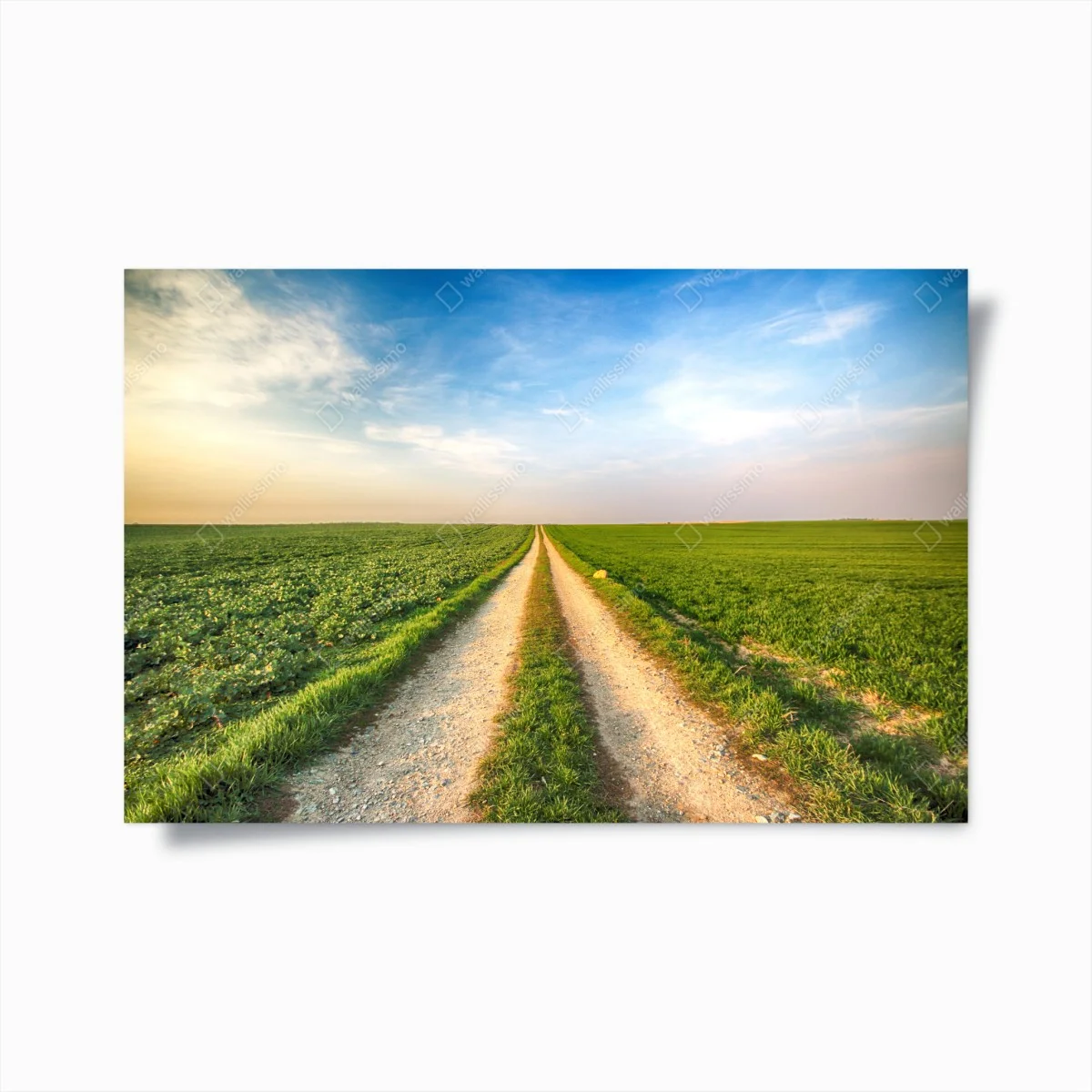 Poster feldweg durch grüne felder – Wallnifity® Poster feldweg durch grüne felder – Wallnifity®
