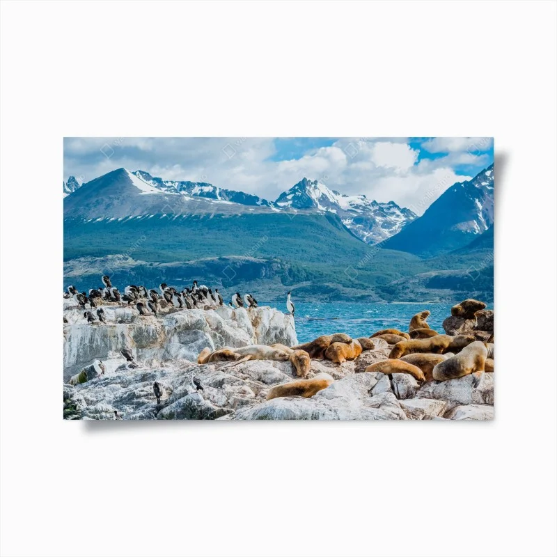 Tiere – Wallnifity®