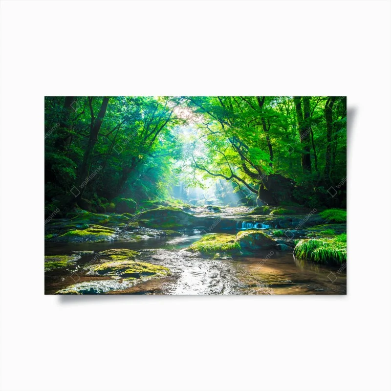 Natur – Wallnifity®