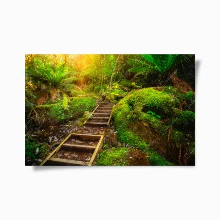 Poster moosiger regenwaldpfad auf der Tasman-Halbinsel – Wallnifity®