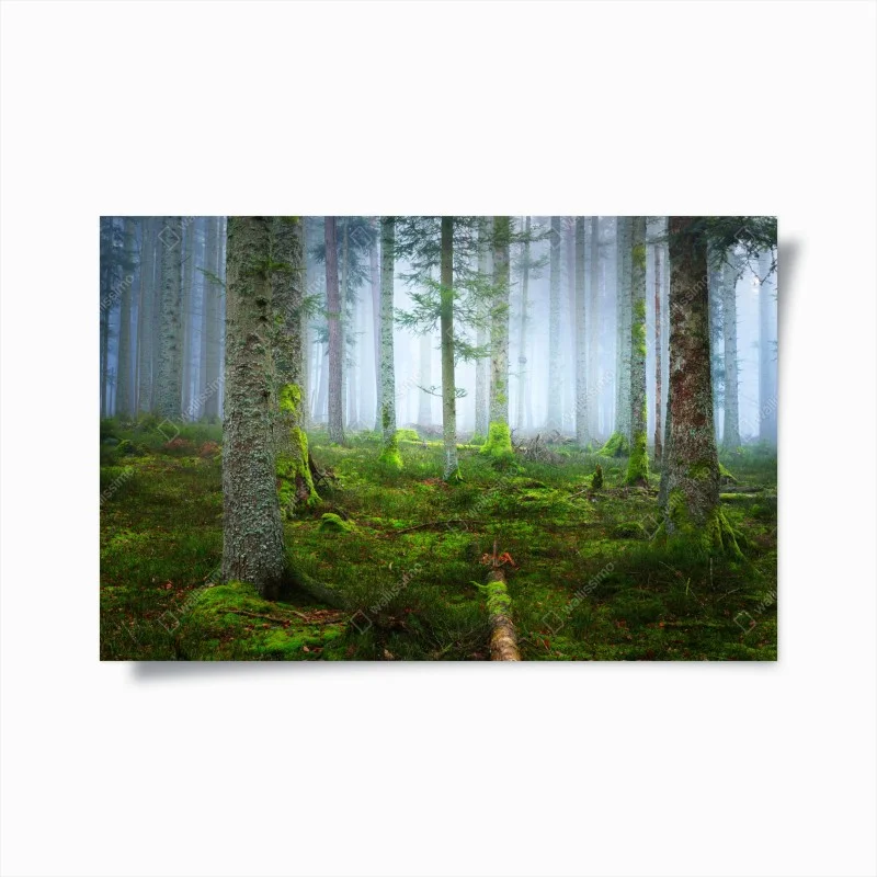 Natur – Wallnifity®