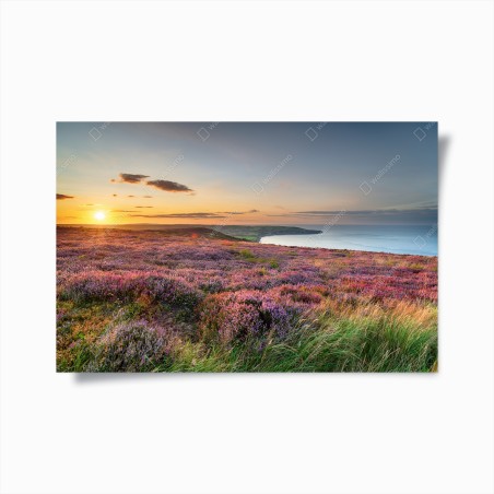 Poster sonnenuntergang über der heide auf den North York Moors – Wallnifity®