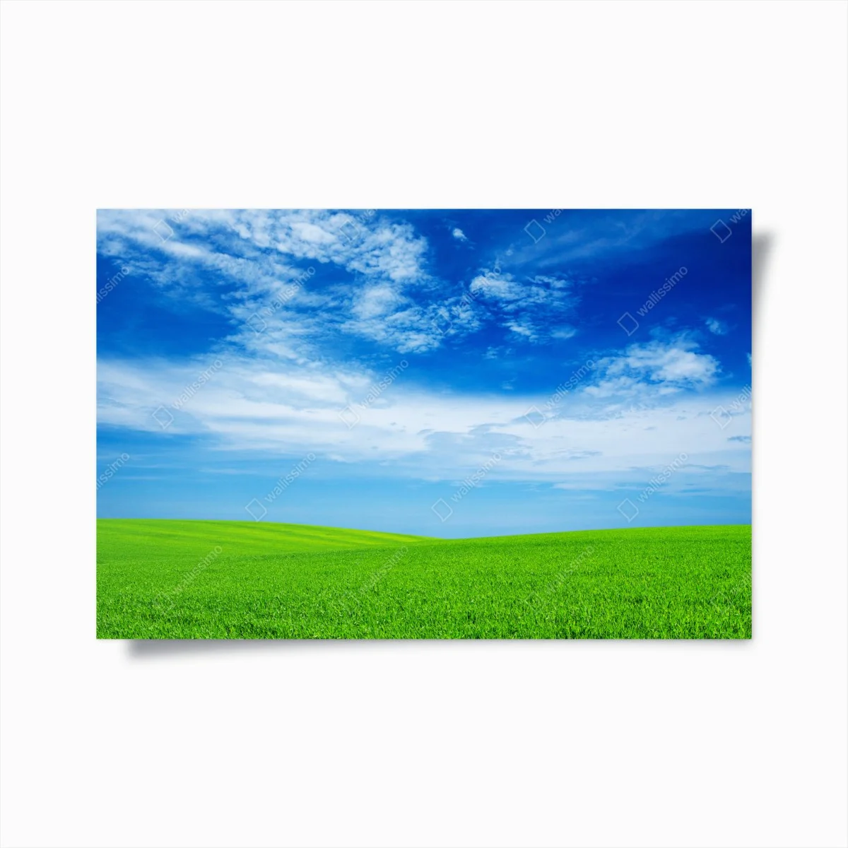Poster grüne wiese unter blauem himmel – Wallnifity® Poster grüne wiese unter blauem himmel – Wallnifity®