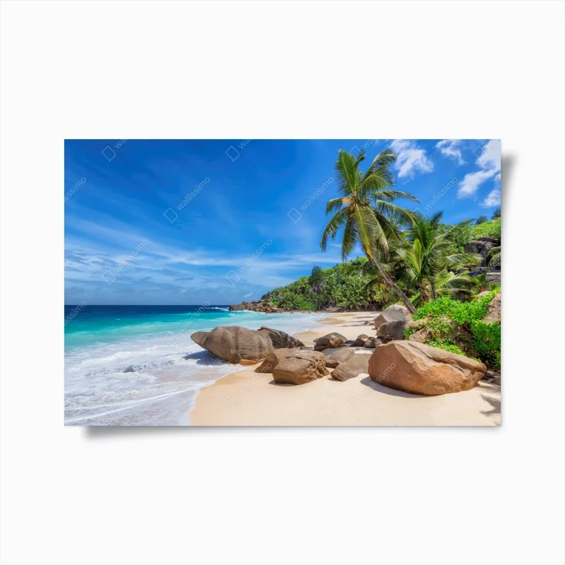 Urban Chic – Wallnifity®