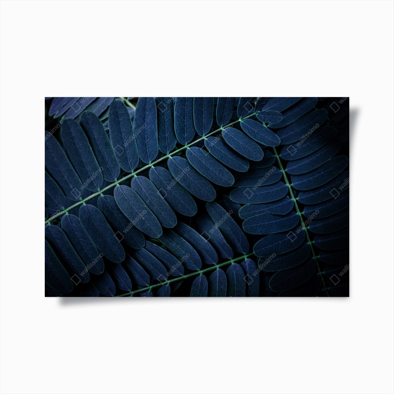 Minimalistisch – Wallnifity®