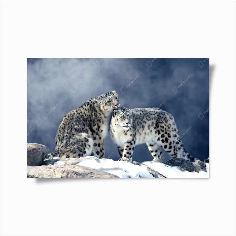 Tiere – Wallnifity®