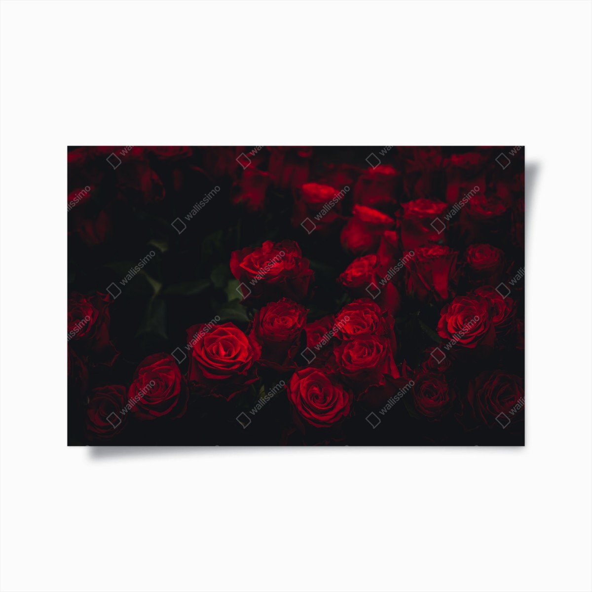 Poster dunkler rosenstrauß – Wallnifity®