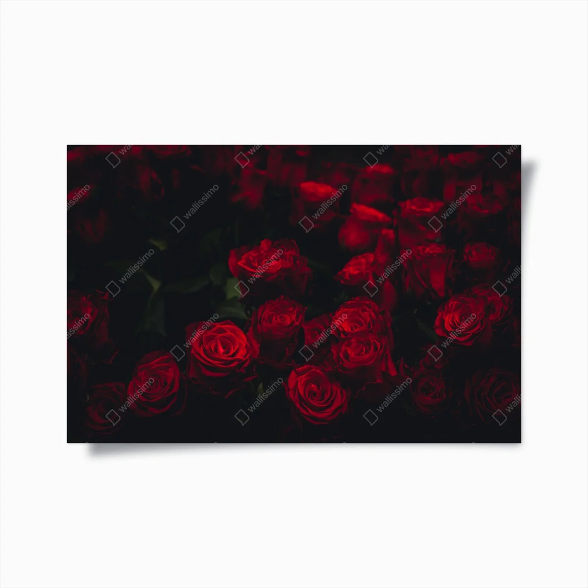 Poster dunkler rosenstrauß – Wallnifity® Poster dunkler rosenstrauß – Wallnifity®