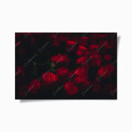 Poster dunkler rosenstrauß – Wallnifity®