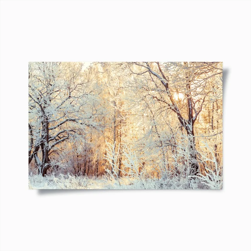 Natur – Wallnifity®