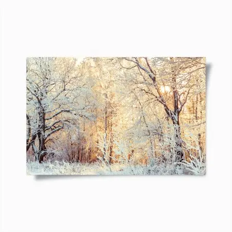 Poster wintersonne im verschneiten wald – Wallnifity®