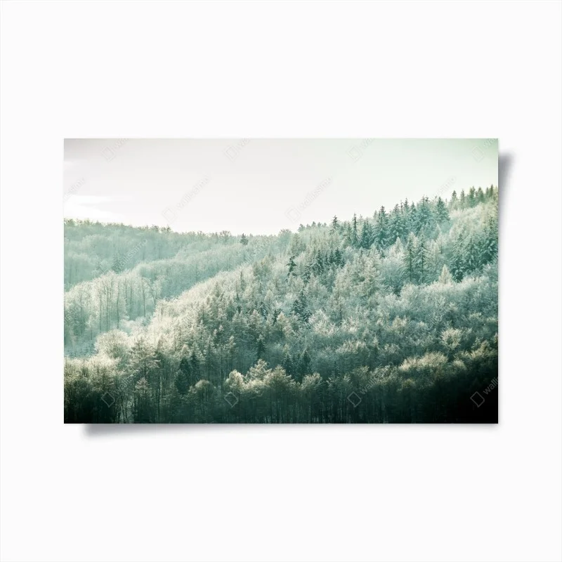 Wohnzimmer – Wallnifity®