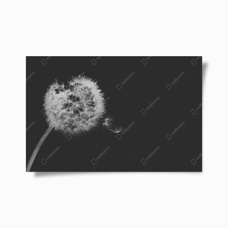 Schlafzimmer – Wallnifity®
