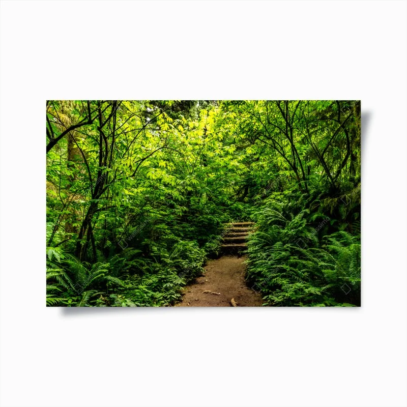 Poster üppiger waldpfad