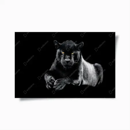Poster porträt eines schwarzen panthers vor schwarzem hintergrund – Wallnifity®