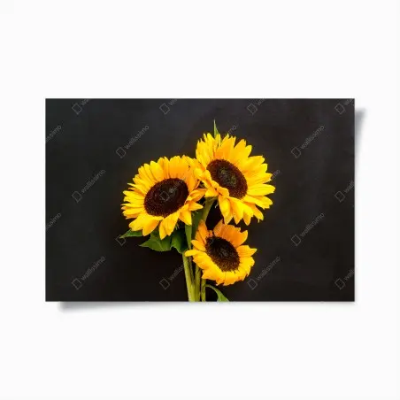 Poster leuchtende sonnenblumen auf schwarzem hintergrund – Wallnifity®