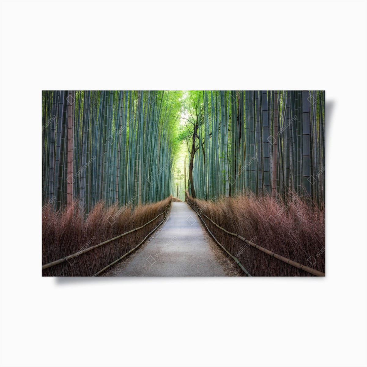Poster ruhiger bambuswaldweg – Wallnifity®