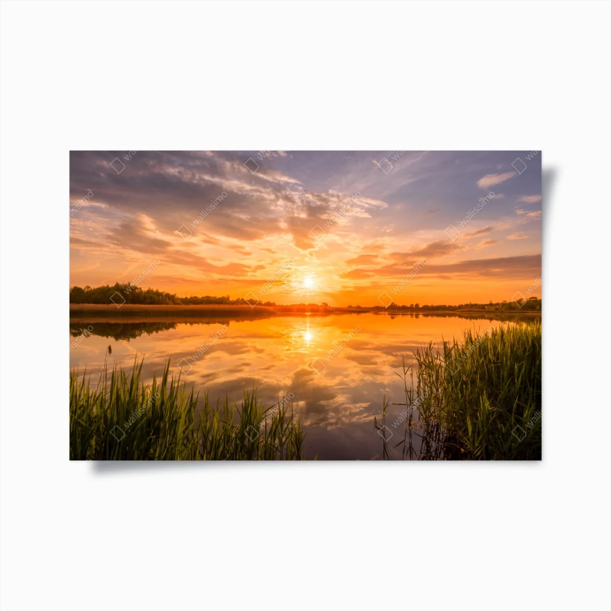 Poster goldener sonnenuntergang über idyllischem see – Wallnifity® Poster goldener sonnenuntergang über idyllischem see – Wallnifity®