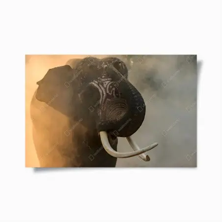 Poster majestätischer Thai-elefant mit stoßzähnen – Wallnifity®